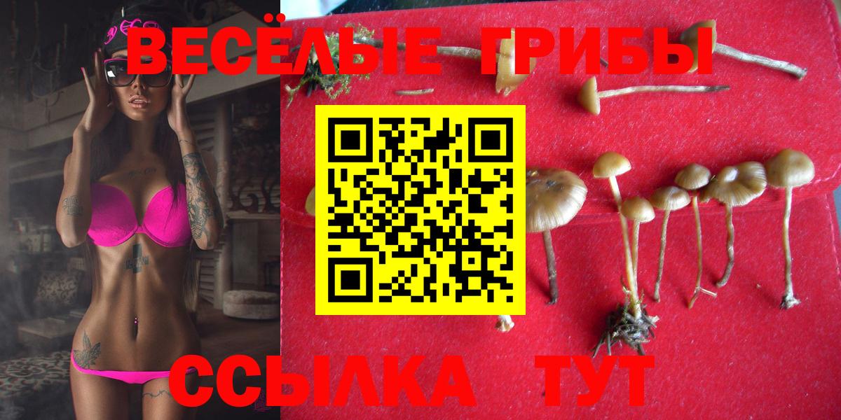 Псилоцибиновые грибы прущие грибы Воркута