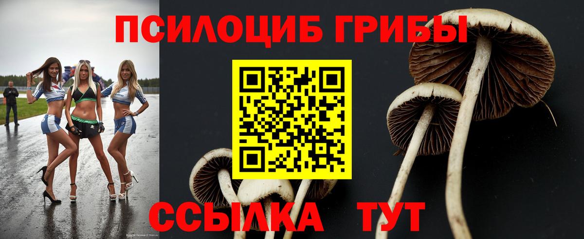 Воркута  Псилоцибиновые грибы Magic Shrooms  Вход с VPN 